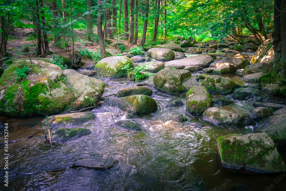 Wanderung durch das Höllbachtal in der nähe von Rettenbach im bayerischen Wald Wanderung durch das Höllbachtal in der nähe von Rettenbach im bayerischen Wald