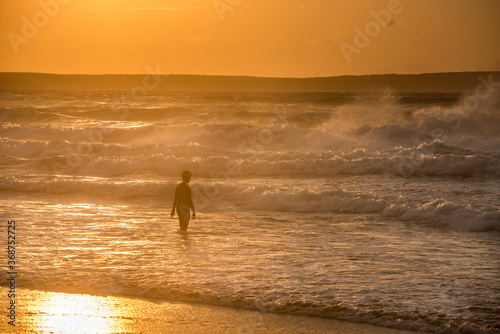 beach, sand, sea, ocean, water, summer, surf, coast, waves, vacation, people, sky, travel, woman, horse, landscape, wave, nature, couple, surfing, blue, walking, shore, dog, holiday