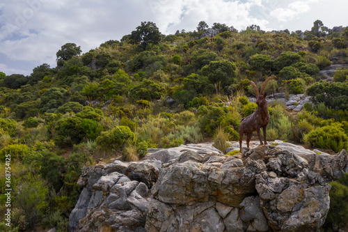 monumento a la cabra montés de la sierra de las Nieves en el municipio de Ojén, Andalucía