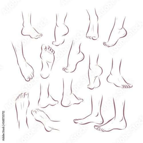 Collection of bare human man and woman feet arranged in different poses  isolated on white background. Front, side, back view. Foot icon. Vector sketch hand drawn illustration.