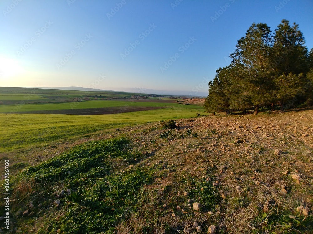 Obraz premium verdure