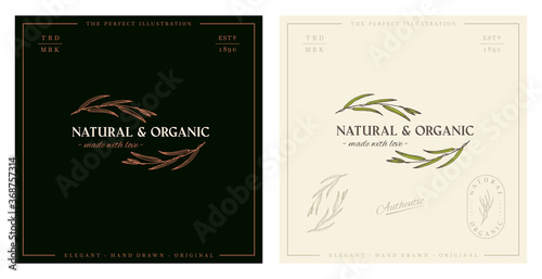 Vector natural and organic logo design template. Beautiful hand drawn leaves