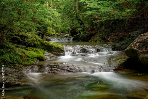 Fototapeta Naklejka Na Ścianę i Meble -  River flowing up in dark forest