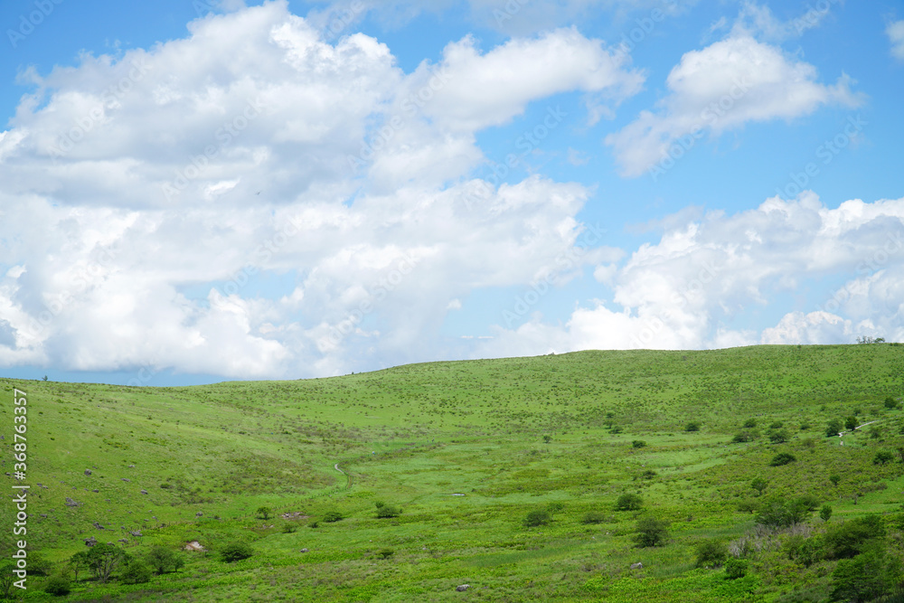 夏の霧ヶ峰高原