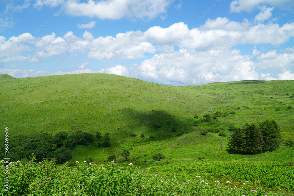 Naklejka premium 夏の霧ヶ峰高原