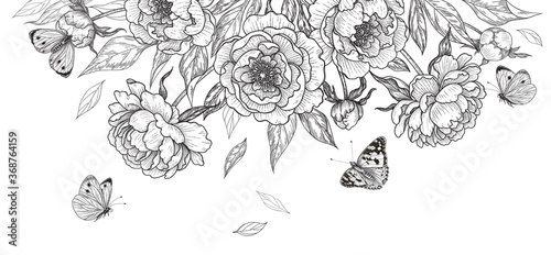 Hand Drawn Peony Flowers  and  Flying Butterflies