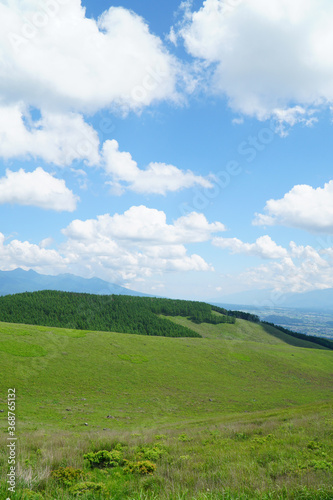 夏の霧ヶ峰高原