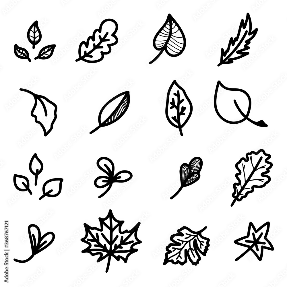 Hand Drawn Forest Autumn Set with Maple Aspen Oak Poplar Physalis Beech Palm Chestnut Leaves. Detailed foliage line art on white background illustration. Fall collection Black sketch design elements