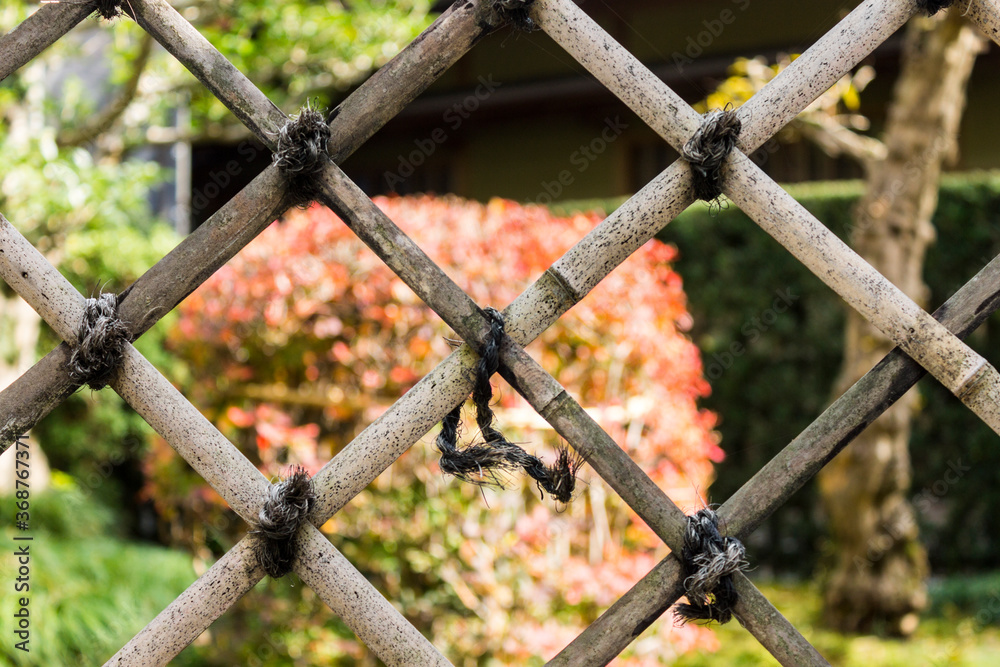 Kanazawa, Japan. Kenroku-en, an old garden, and one of the Three Great Gardens of Japan (Nihon Sanmeien), during autumn