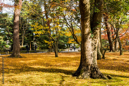 Kanazawa, Japan. Kenroku-en, an old garden, and one of the Three Great Gardens of Japan (Nihon Sanmeien), during autumn