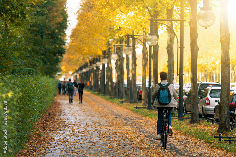 Cyclist rides a bicycle in the Tiergarten park in Berlin	 - obrazy, fototapety, plakaty 