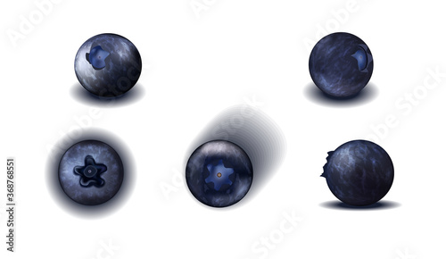 Vector object. set of blueberries