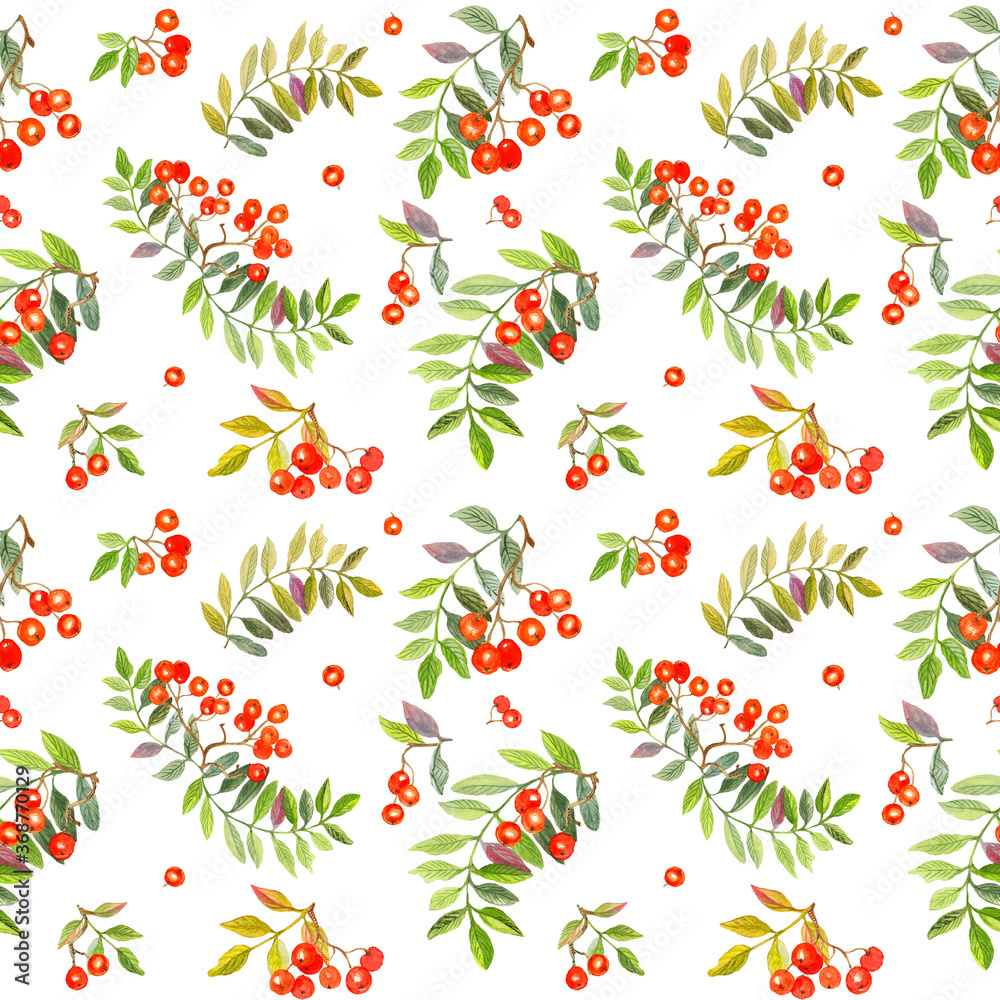 Watercolor elegant colorful seamless pattern with colorful leaves and red rowan. White background