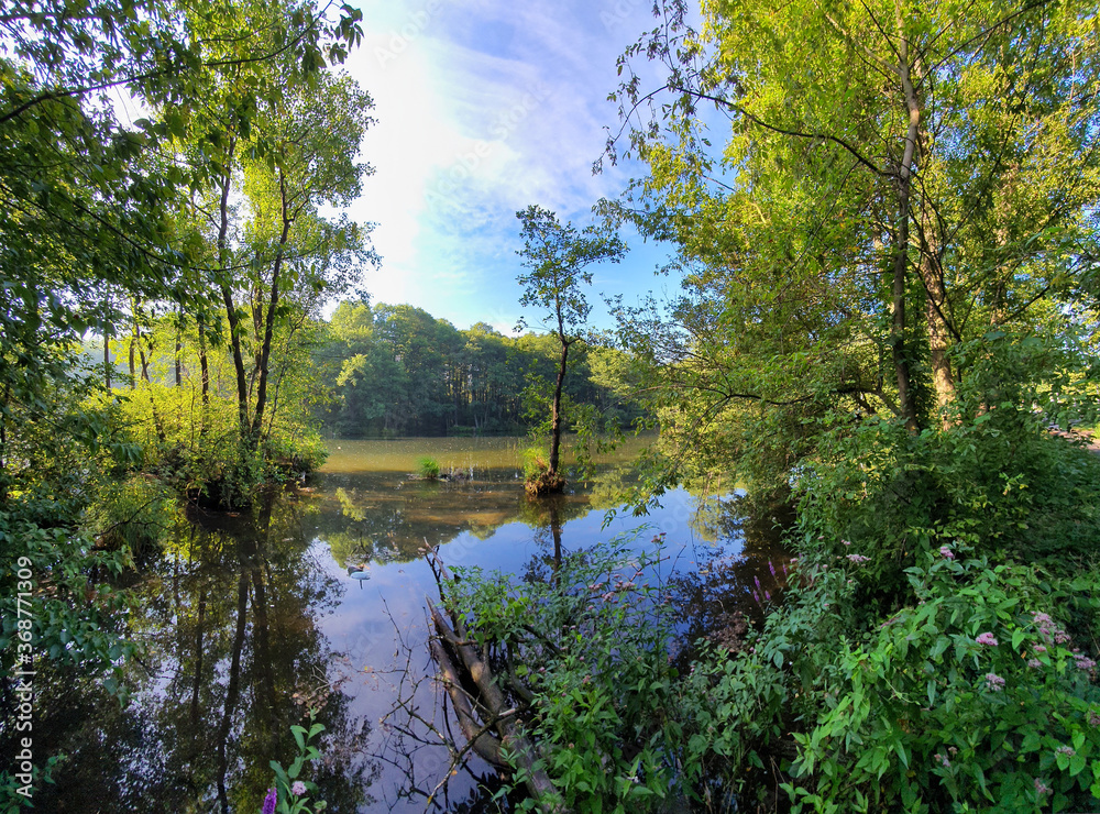 Naklejka premium REZERWAT PRZYRODY NIEBIESKIE ŹRÓDŁA. TOMASZÓW MAZOWIECKI, POLSKA. 