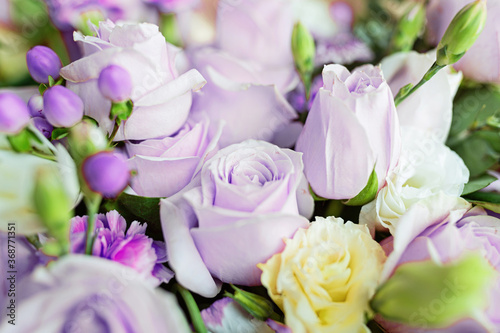 Bouquet of fresh purple flowers close up  holiday background.