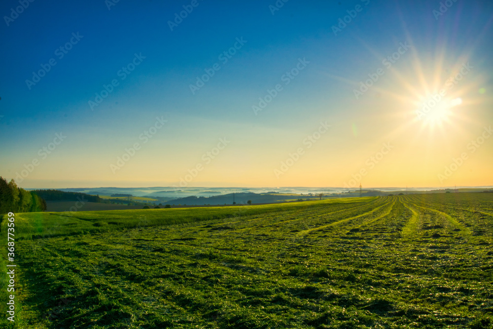 Fernblick über das Feld am Morgen