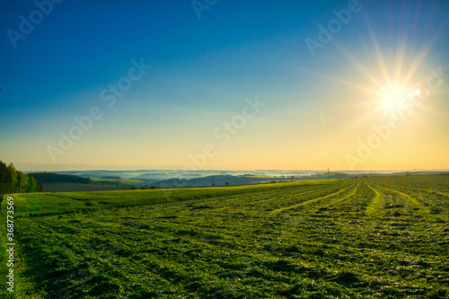 Fernblick über das Feld am Morgen © Waldtoifel