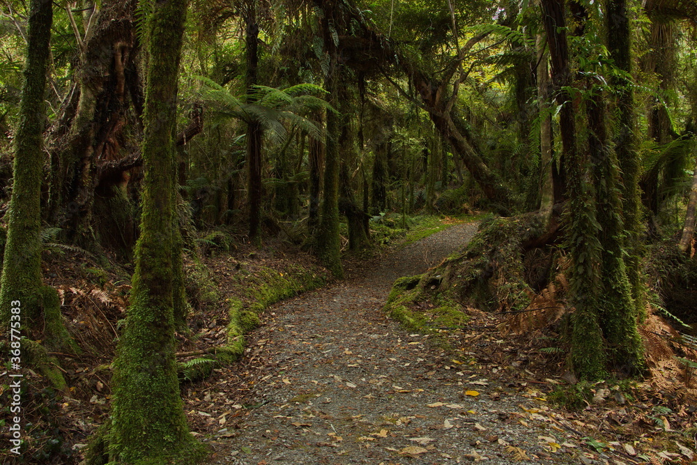 Obraz premium Monro Beach Walk in Mount Aspiring National Park,West Coast on South Island of New Zealand 