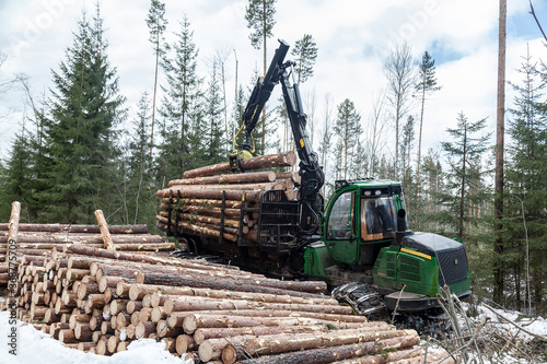 Industrial harvester collects logs in winter forest at deforestation site