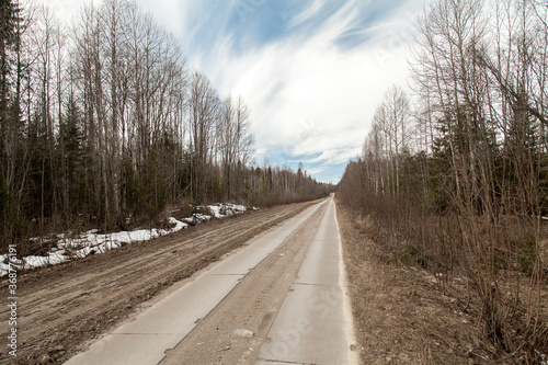 Dirty road in early spring forest