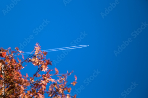 Jet plane flying overhead with condensation trail in the blue sky over autumn tree. Travel ban, Vacation, Transportation Concept