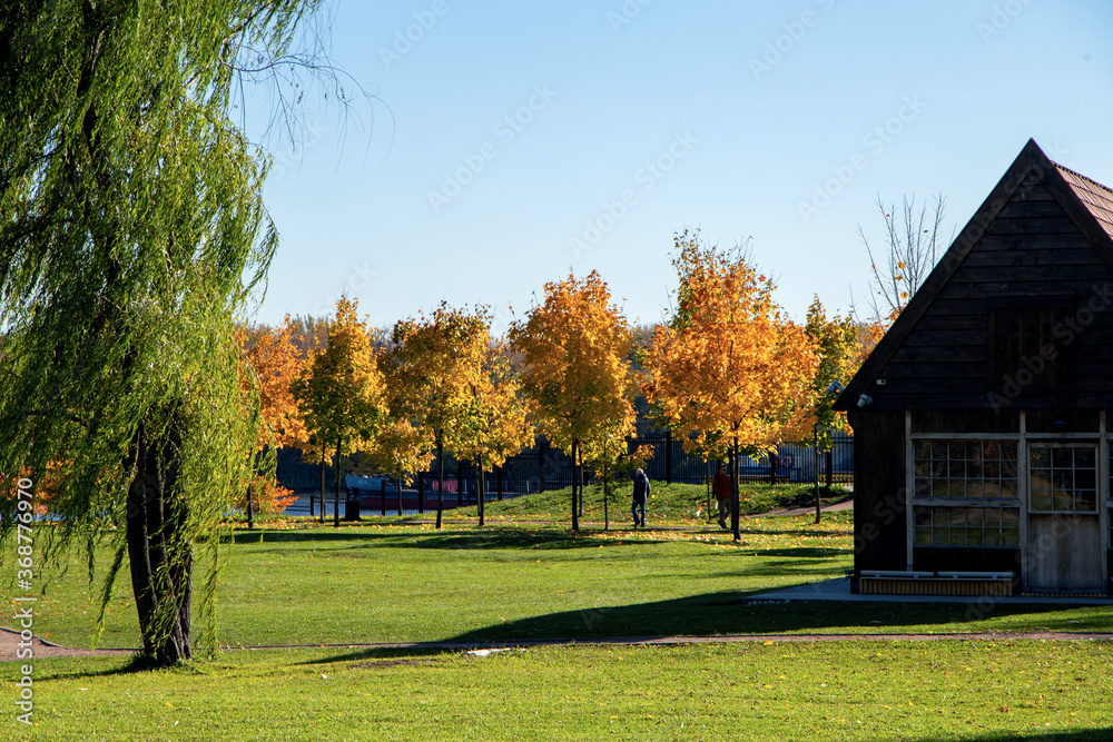 Beautiful autumn park. Autumn in Moscow. Autumn trees and leaves. Autumn Landscape.