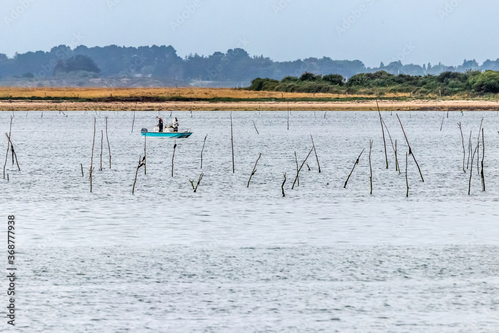 oyster farm in the Gulf of Morbihan, Brittany oyster farm in the Gulf of Morbihan, Brittany