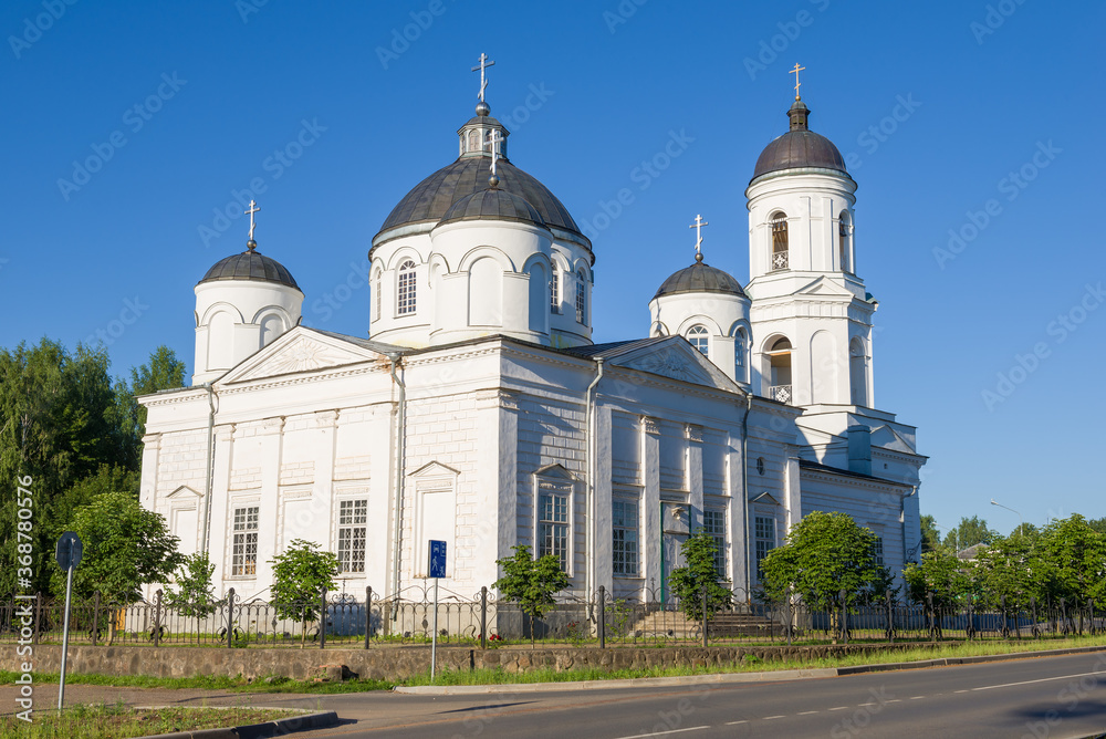 Cathedral of Elijah the Prophet close-up on a sunny July day. Soltsy, Russia
