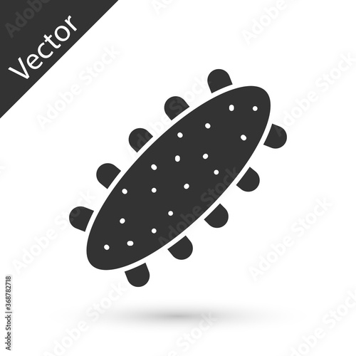 Grey Sea cucumber icon isolated on white background. Marine food. Vector.. photo