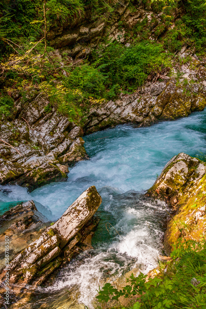 waterfall in the forest