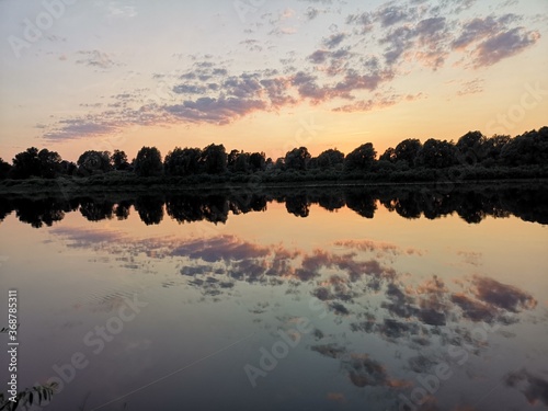 Lake with trees. Summer landscape by the river.Glassy surface of the water