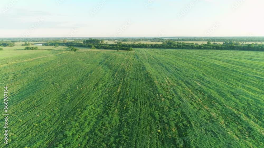 Flying over green fields and forest at summer sunny day in beautiful place. Aerial view on meadow with fresh grass. Background with natural landscape and woodland. Flying over green fields and forest at summer sunny day in beautiful place. Aerial view on meadow with fresh grass. Background with natural landscape and woodland.