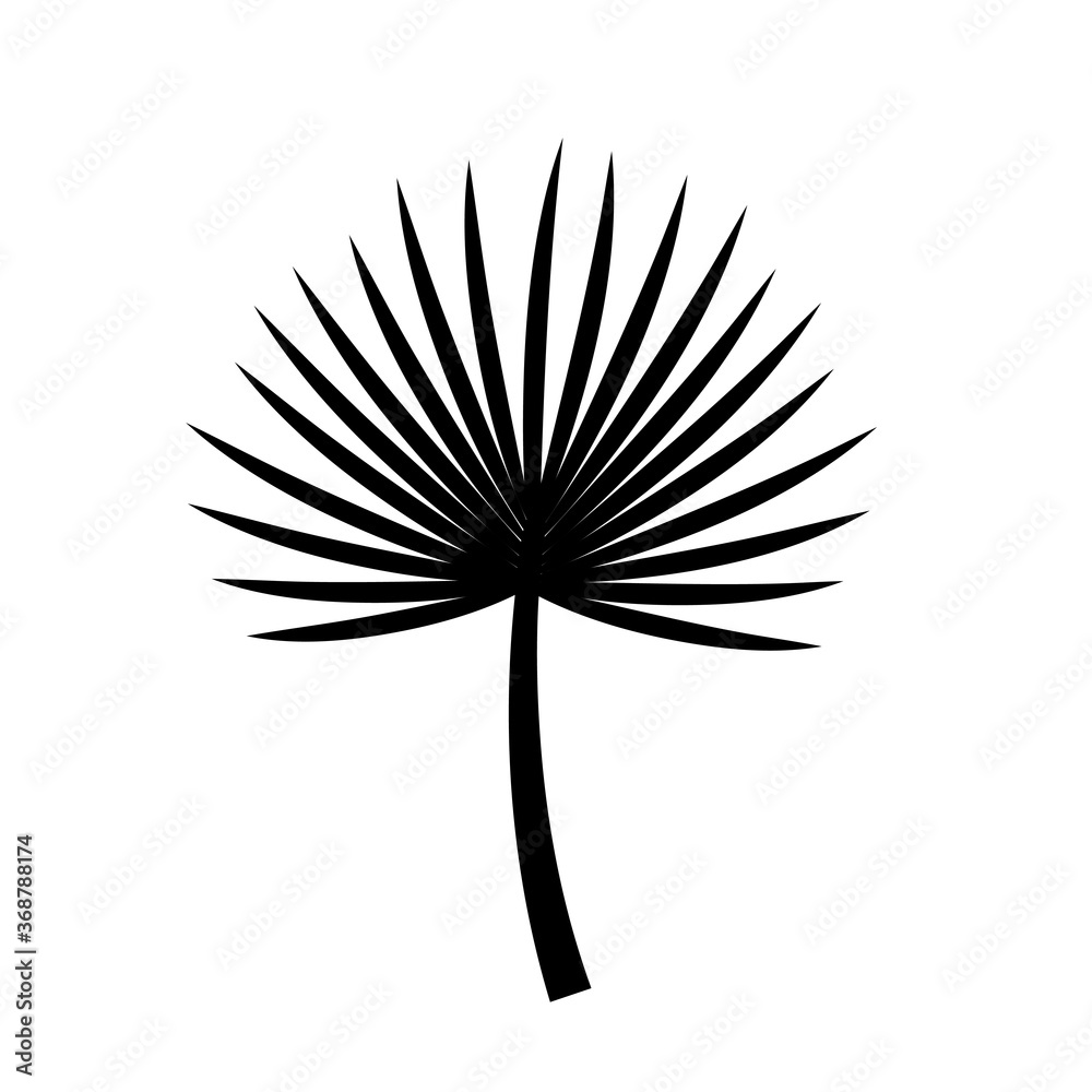 Brahea black silhouette palm leaf. vector icon Brahea black silhouette palm leaf. vector icon
