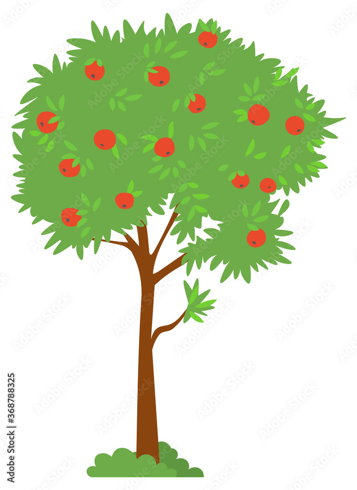 Tree with ripe apple, harvesting fruit, picking apple. Sweet product, orchard element, countryside plant, gardening or farming, crop food, rustic vector. Picking apples concept. Flat cartoon