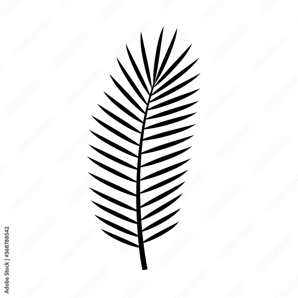 Calamus black silhouette palm leaf. vector icon