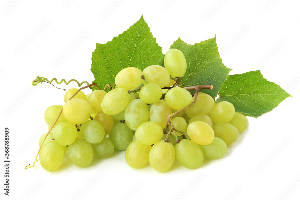 Bunch of green grapes with leaves isolated on white background Bunch of green grapes with leaves isolated on white background