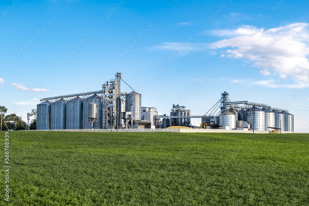 Modern Granary elevator. Silver silos on agro-processing and manufacturing plant for processing drying cleaning and storage of agricultural products, flour, cereals and grain.