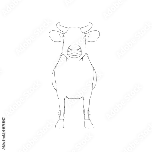 Contour of a cow from black lines on a white background. Front view. Vector illustration