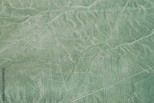 Fotografie Nazca Lines - The Monkey