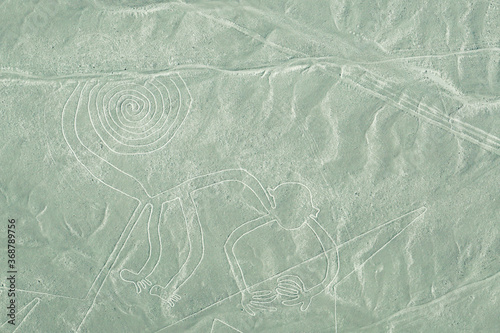Nazca Lines - The Monkey