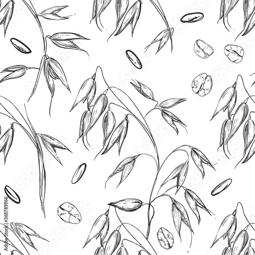 Hand drawn seamless pattern of plant oats, grain. illustration on white background. sketch. vector
