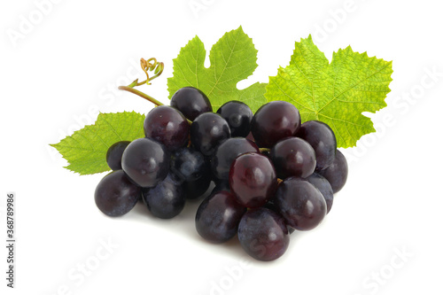 Bunch of black grapes with leaves isolated on white background