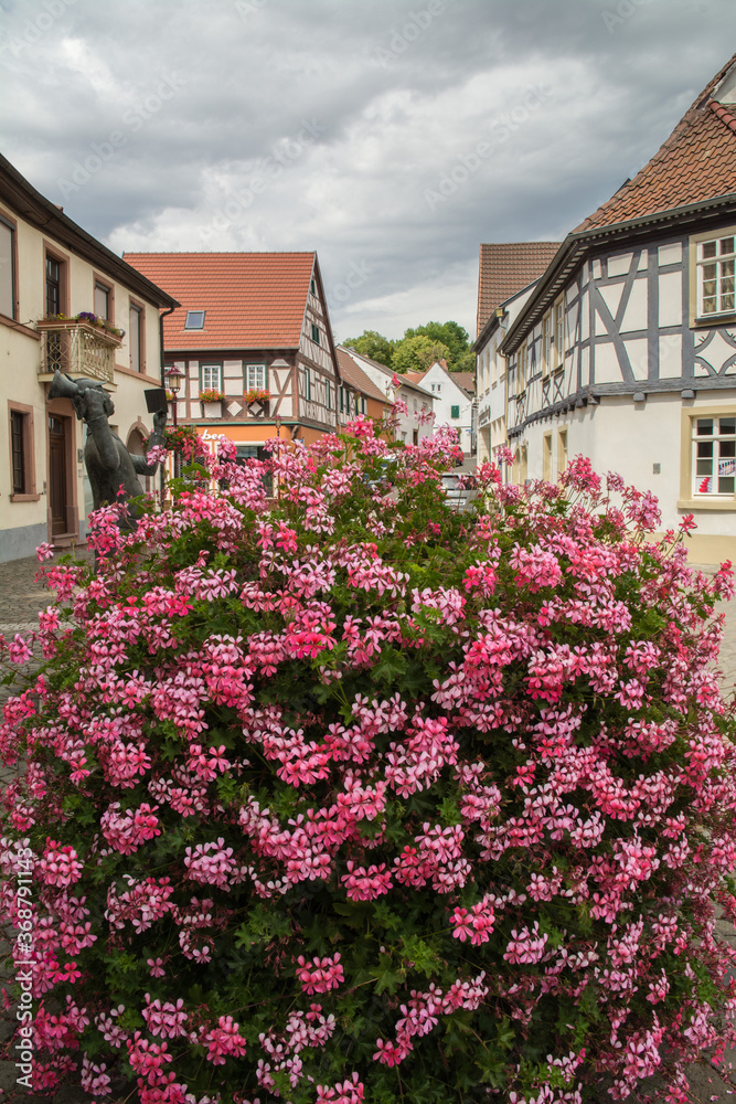 im historischen ortskern von göllheim