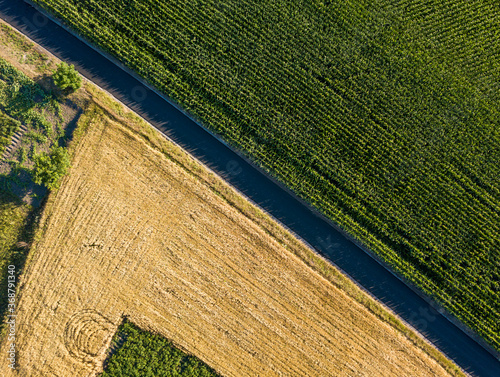 Aerial drone view. Smooth geometric borders of Ukrainian agricultural fields. Summer clear day.