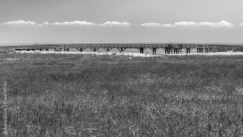 fence in the field