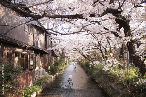 kyoto
