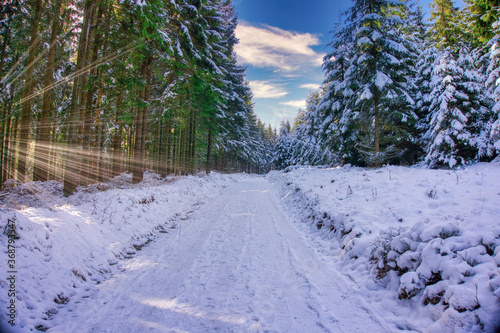 Skipiste am Morgen