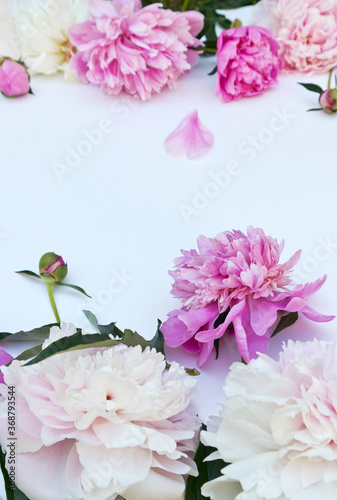 Bouquet of fresh pink peonies on a white background. Greeting card, message, holiday invitation, place for text. Floral background. Flat lay, close up, copy space, mock up