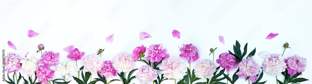 Top view on the beautiful fresh pink peonies on a white background. Greeting banner, message, holiday invitation, place for text. Summer floral background, close up, copy space, flat lay, mock up