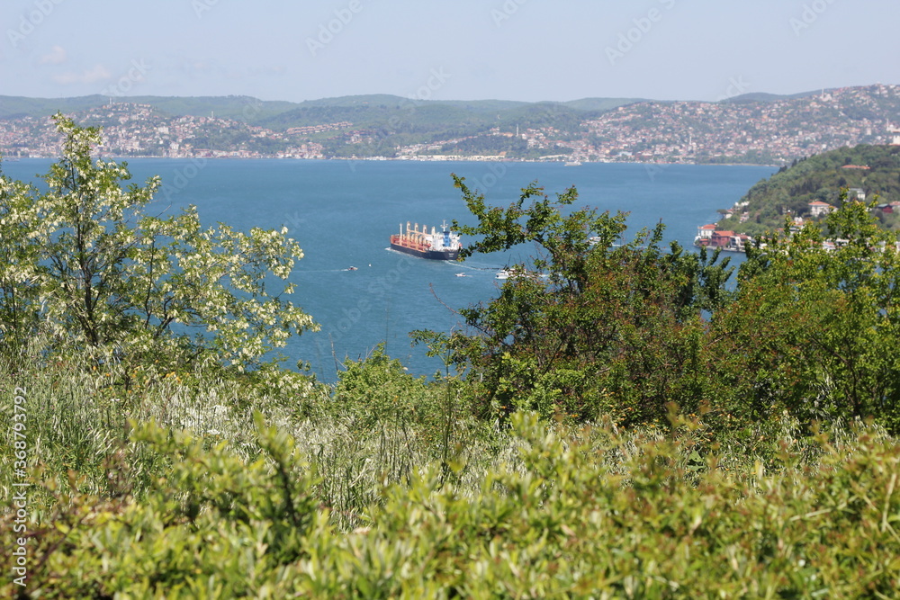 İstanbul  bosphorus view